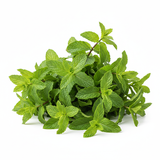Mint — पुदीना